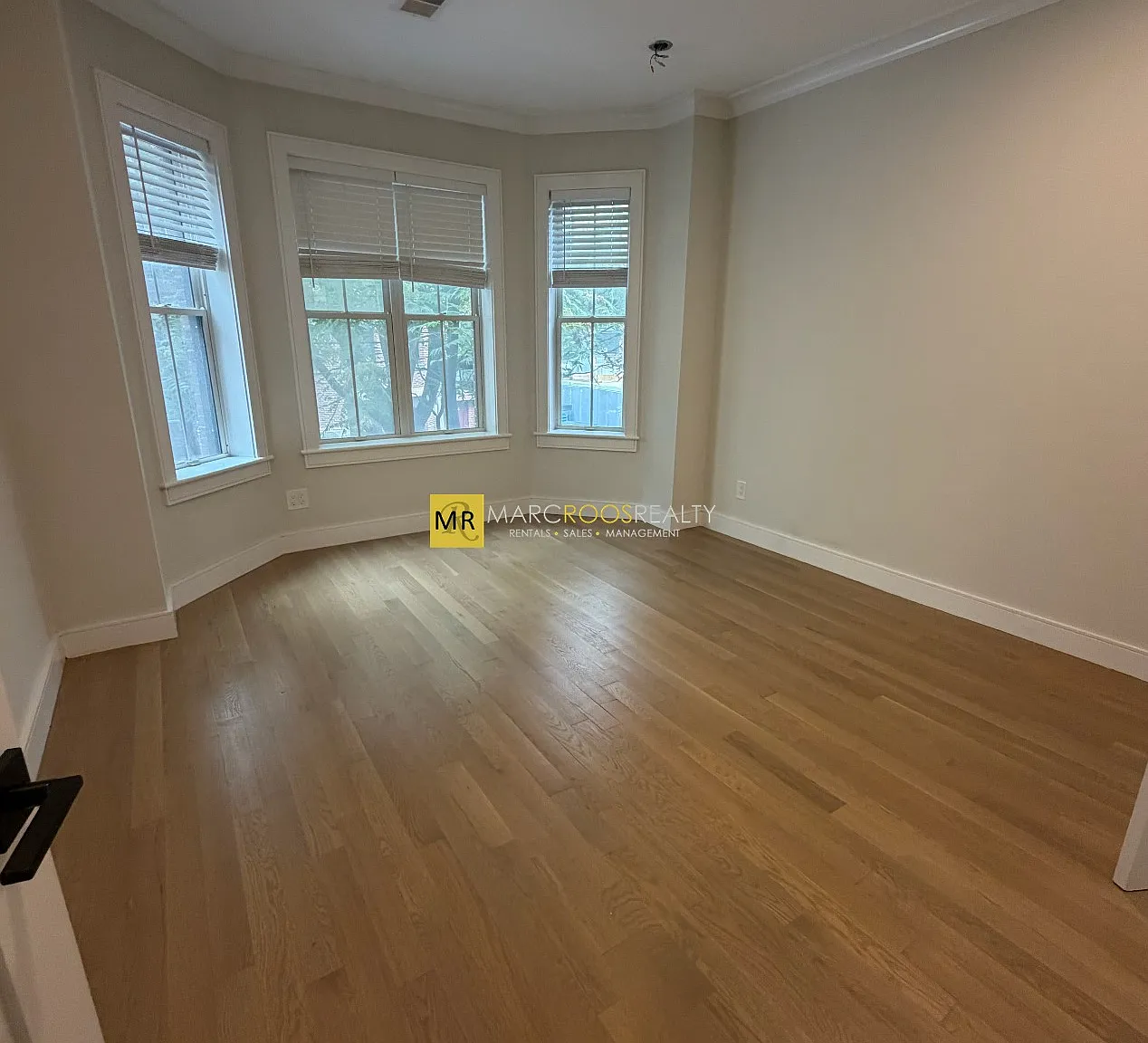 2 bed, 700 sqft, $3,800 — Photo 2