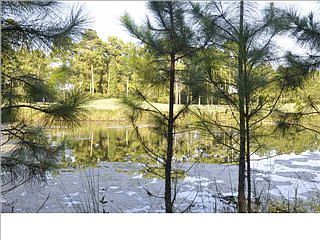 2nd image of 162 Skimmer Ln