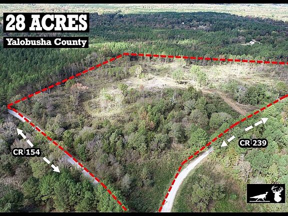 2nd image of County Road 239