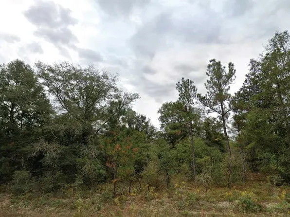 Matheson St Lot 5, Chipley, FL 32428
