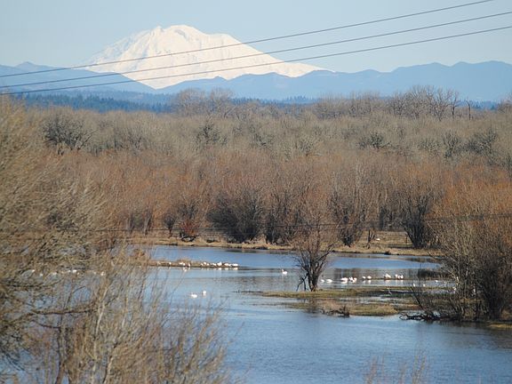 Scappoose Bay from our deck