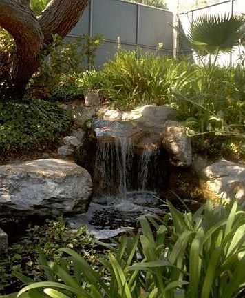 Walkway with Waterfall