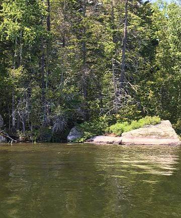 Waterfront section