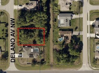 807 Delano Ave NW, Palm Bay, FL 32907