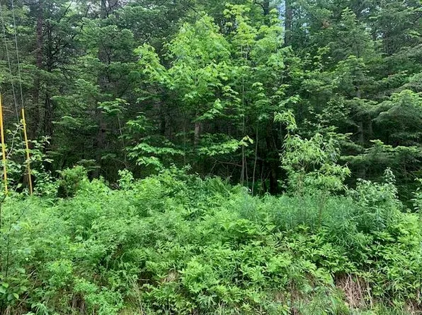 TBD Griffin Road, Stewartstown, NH 03576