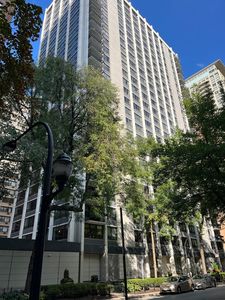 222 E Pearson St APT 1406, Chicago, IL, 60611