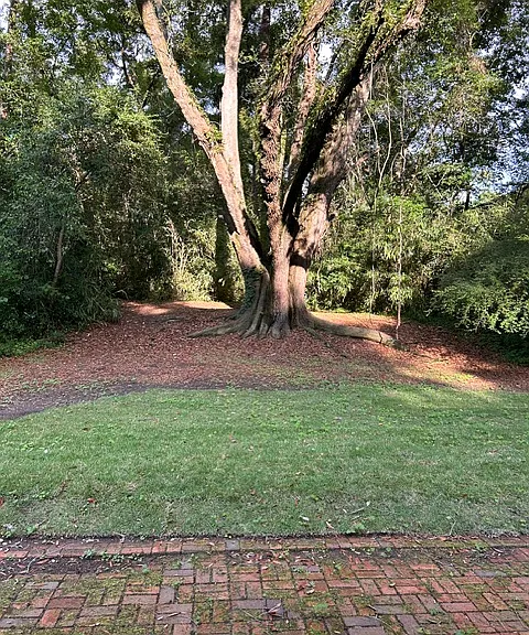 1803 Rosedale Dr — Photo 15