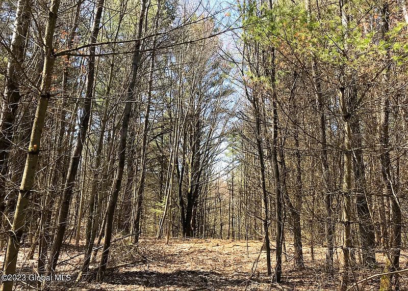 3rd image of Lot 9 Lake View Hill Rd