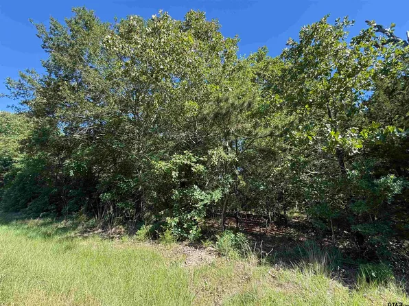 0 County Road 457, Mineola, TX 75773