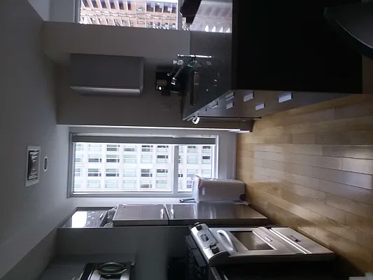 Rented by Elite View Realty Inc | media 1