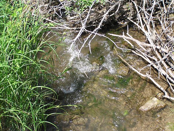3rd image of 5003 Casino Creek Rd