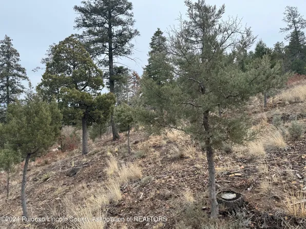 221 Chelsea Dr, Ruidoso, NM 88345