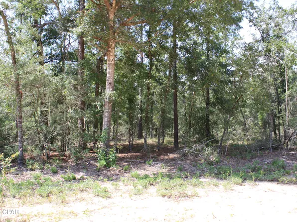 Tbd Monogahela Ave, Alford, FL 32420