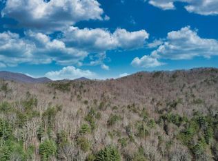 Goose Island Rd, Cherry Log, GA 30522