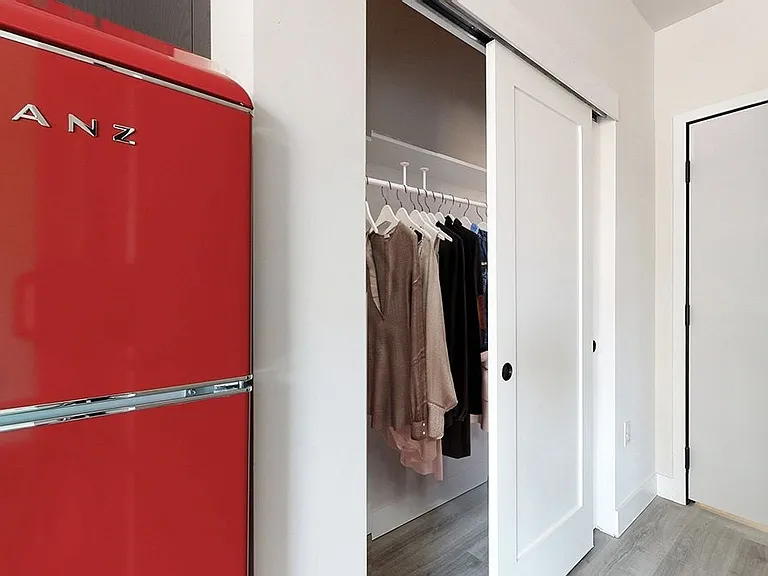 Spacious Central Closet in Modern Apartment