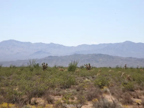 243-15-016 S Custer Road #3491, Yucca, AZ 86438