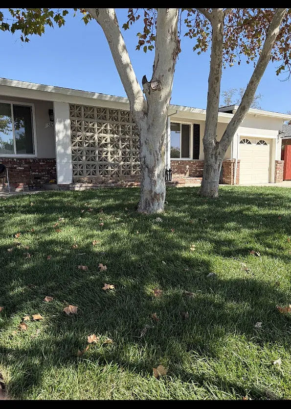 3 bed, 1.5 bath, 1250 sqft, $2,700 — Photo 1