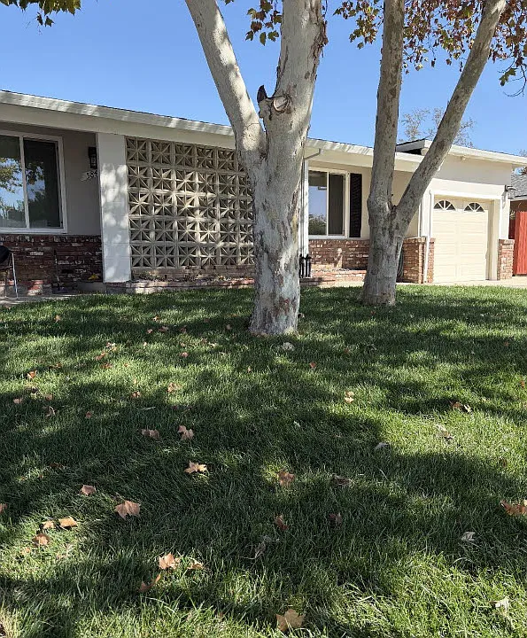 5847 Tangerine Ave