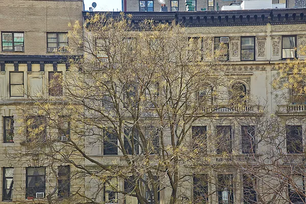 Sold by Brown Harris Stevens | media 15