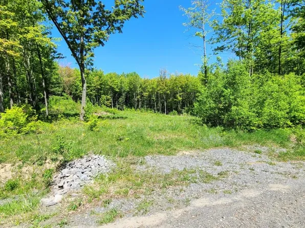 0 Yellow Barn Rd, Freeville, NY 13068