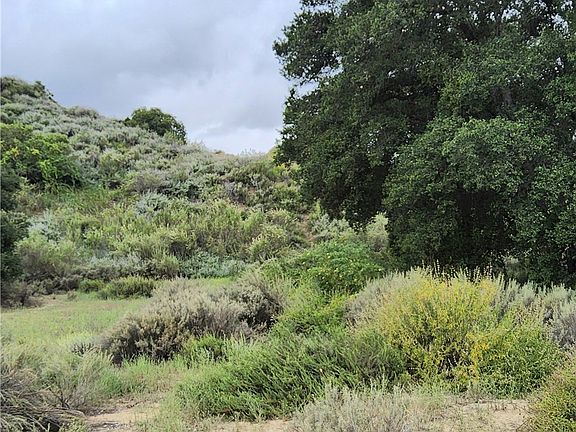 5th image of LOT 39