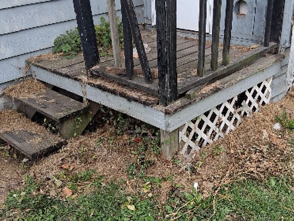 Back steps need repair