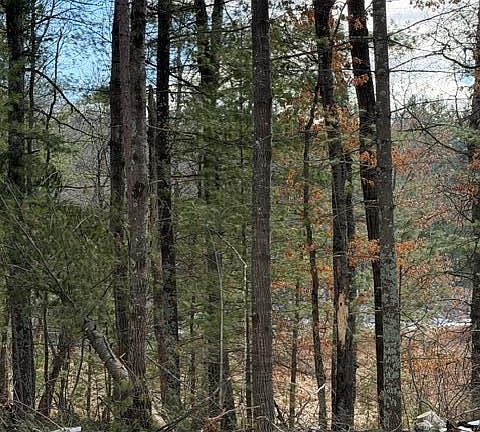 4th image of E Long Lake Rd