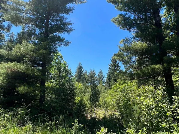 Pike River Rd, Wausaukee, WI 54177