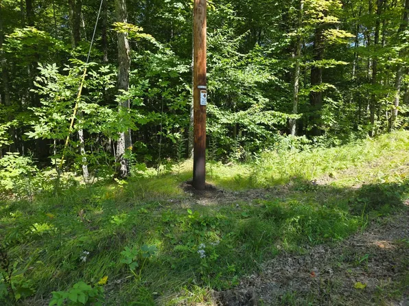 LOT 10 S Shore Rd, Phelps, WI 54554