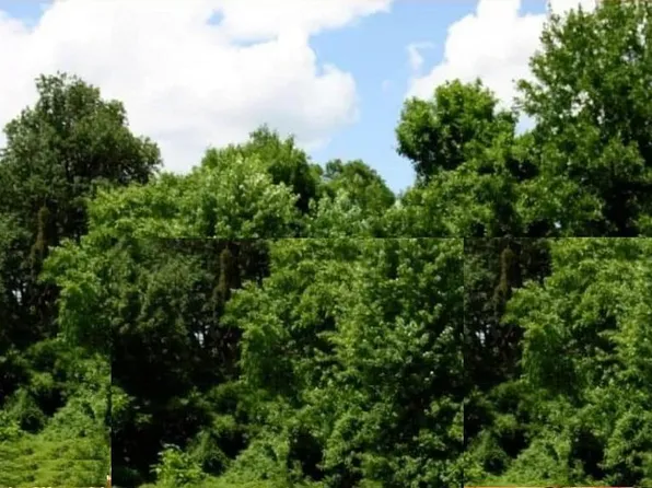 0 Recon Dr, Waynesville, MO 65583