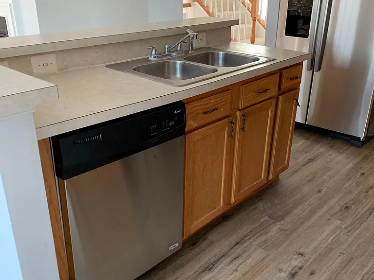 Dishwasher and sink