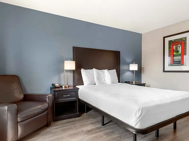 Studio Suite - 1 Queen Bed