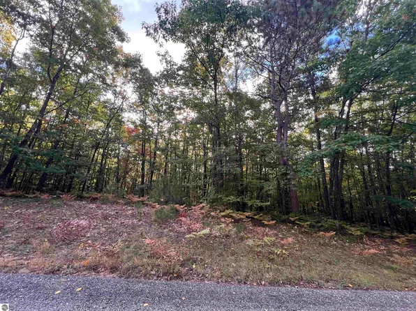 LOT 53 Bramblewood Dr, Cadillac, MI 49601