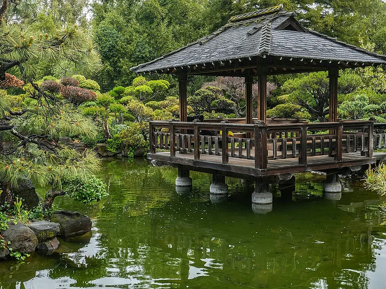 Japanese Garden Serenity