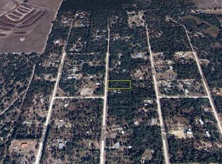 Seagrass Dr LOT 17, Perry, FL 32348