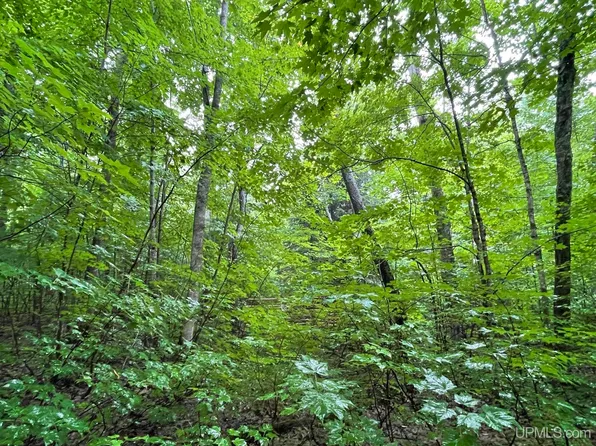 Carpenter Lake Rd, Seney, MI 49883