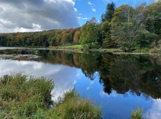 157 Blueberry Dr, Deposit, NY 13754