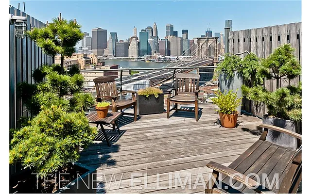 Rented by Douglas Elliman | media 2