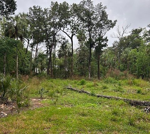 5th image of 11070 W Bareto Ln