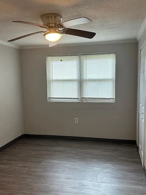 3 bed, 850 sqft, $850 — Photo 4