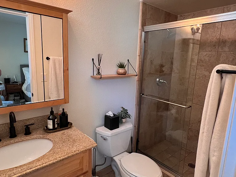 Master bathroom