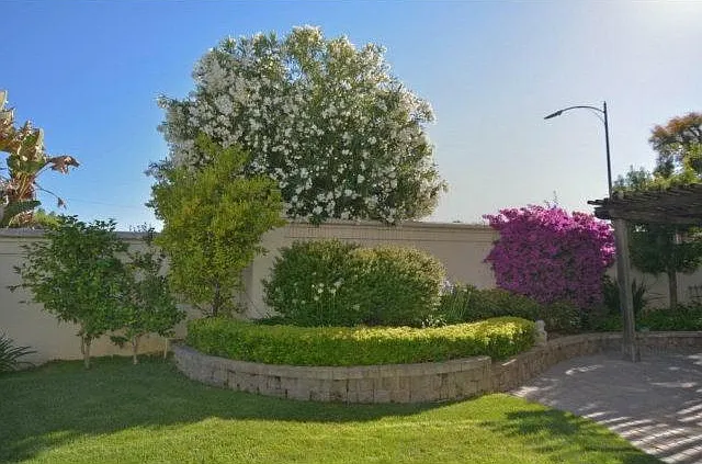 2074 Paseo Del Oro — Photo 47