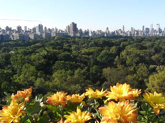 Sold by Real Direct | media 29