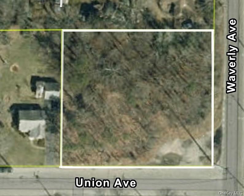 1st image of Waverly Avenue