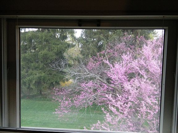 4th image of 1811 Crestland Dr