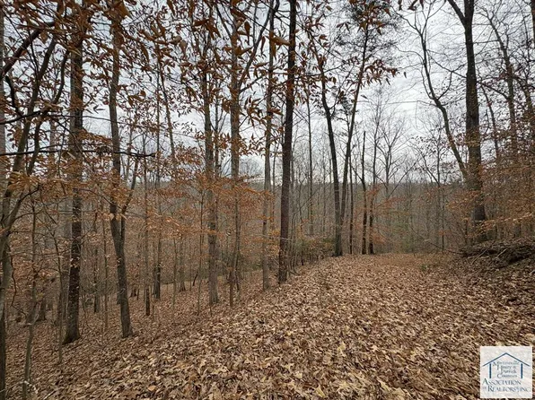 0 Pine Valley Dr, Bassett, VA 24055