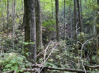 64 Sycamore St LOT 64, Sevierville, TN 37876