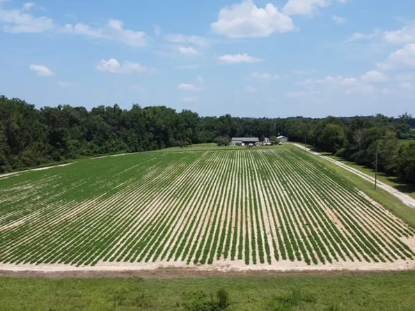 650 Pate St, Ashford, AL 36312