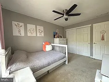 233 Tall Pines Dr — Photo 14