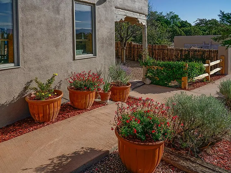 Hummingbird plantings along front walkway